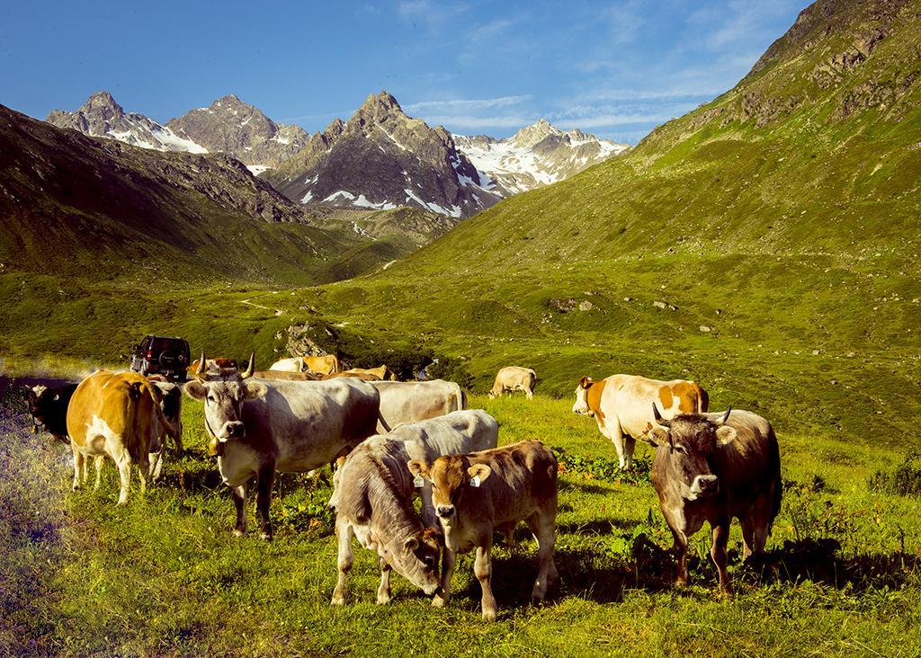Alpenpension Maderer Gaschurn Exteriér fotografie