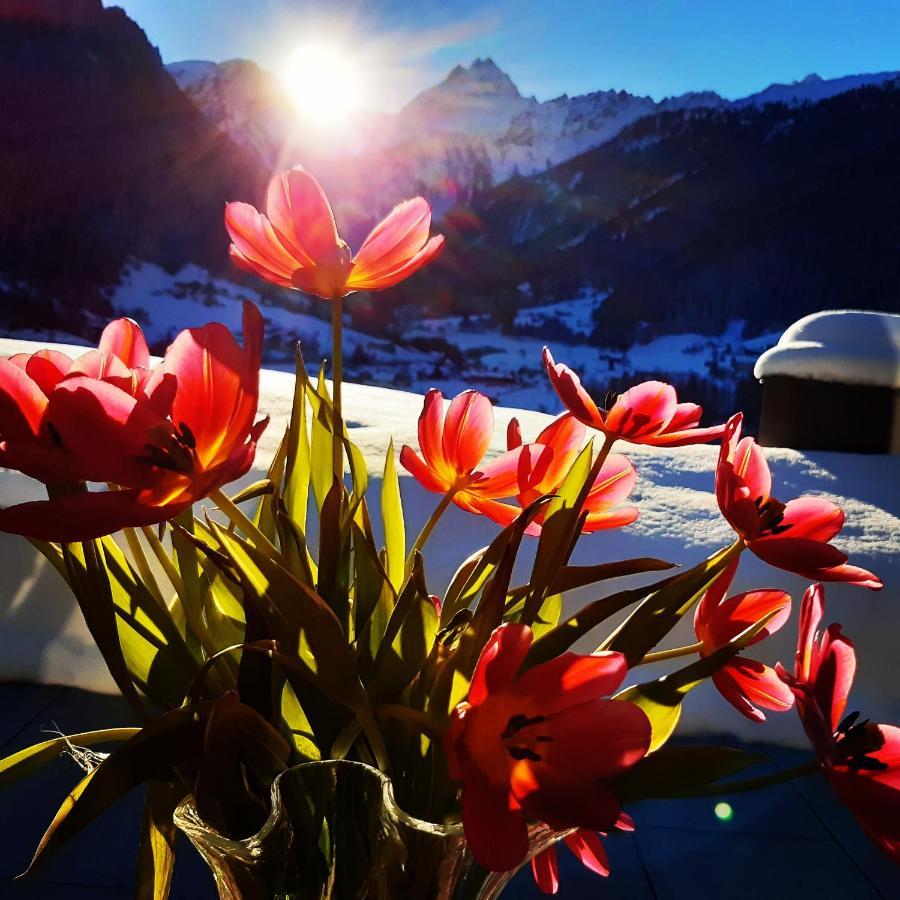 Alpenpension Maderer Gaschurn Exteriér fotografie