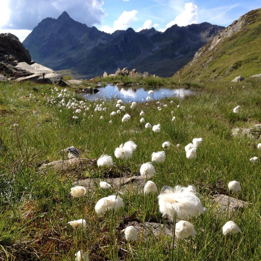 Alpenpension Maderer Gaschurn Exteriér fotografie